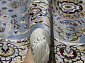 MASHAD PRESTIGE 02847A L.BLUE / L.BLUE Овал