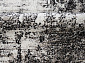 PHOENIX 3001-244 овал 