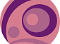 VISION DELUXE V151 PINK Круг