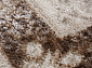 FLORA 3098B L.VIZON / L.VIZON