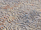 QUARES 32967 096 GREY