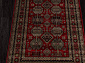 BELUCHI 61892 1616 V