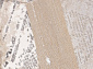 Ковровая дорожка ARMINA 04074C GREY / BROWN
