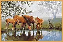 Ковер HUNNU сувенирный 6S1027 82 водопой