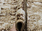 SUNRISE 2 D458 BEIGE Овал