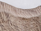 Овчина Sheepskin Sheepskin 195x190 светло бежевый