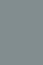 SHAGGY ULTRA S600 GRAY