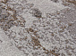 GRAFF F238 GRAY-BEIGE Овал