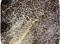 SUNRISE 2 D461 GRAY-BEIGE Овал