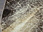 SUNRISE 2 D461 GRAY-BEIGE Овал
