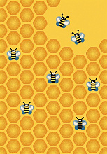 CRYSTAL NC55 YELLOW 2