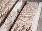 REGINA O0284 080 BROWN