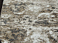 SAFARI 02463A BEIGE / CREAM Овал