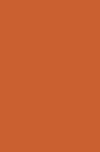 Ковер шегги Rainbow Shaggy PC00 orange