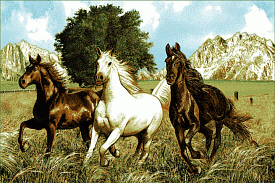 Ландшафт 50380-01