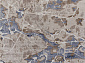 SAMIRA O1119 730 BEIGE / BLUE