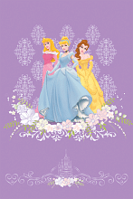 детский PRINCESS 102