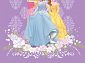 детский  PRINCESS 102