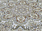 UNIQUE 0IS061 D. GREY PSTL P4 V
