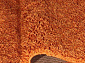 длинноворсовый  Highline 2144 9202 orange