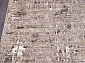 REGINA O0280 040 GREEN