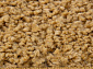 LANA T600 BEIGE 3