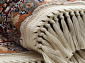 ISFAHAN D511 CREAM Овал