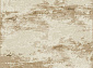 Ковровая Дорожка NIKA D994 BEIGE