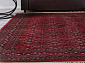 BELUCHI 961557 1616 V