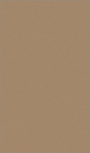 Ковер LANA T600 DARK BEIGE
