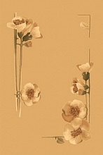 OPAL PENELOPA sahara