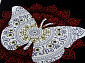 PIERRE CARDIN DIAMOND 2008B в дизайне