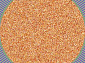 SHAGGY ULTRA s600 ORANGE-MULTICOLOR Круг