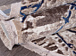 REGINA O0280 035 NAVY Овал