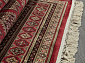BELUCHI 61892 1616 V