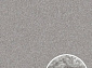 COMFORT SHAGGY 2 S600 LIGHT GRAY