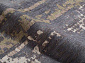 MEBELLIERY MARBLE POWDER