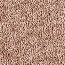 Ковровая дорожка Echo Echo 457 V