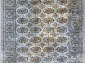 SHAHREZA D471 CREAM-BLUE