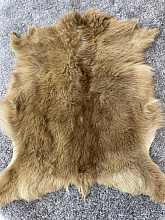 Козья K015 000