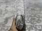 TRUVA 08311G GREY / GREY Овал