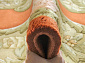 90 LINE WOOLEN HANDK-KNOTTED SHD-6 TERRA