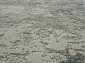 Canyon 52078 6626