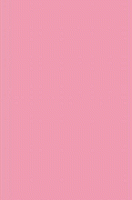 Ковер шегги Rainbow Shaggy PC00 rose