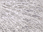 Euphoria 13102 SILVER-VISON V
