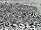 MATRIX 51217 5989 V